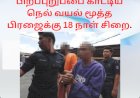 பிறப்புறுப்பை காட்டிய நெல் வயல் மூத்த பிரஜைக்கு 18 நாள் சிறை.