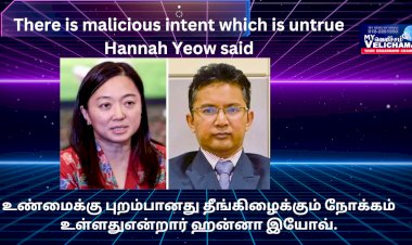உண்மைக்கு புறம்பானது தீங்கிழைக்கும் நோக்கம் உள்ளது என்றார் ஹன்னா இயோவ்.