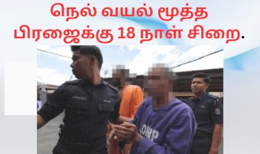 பிறப்புறுப்பை காட்டிய நெல் வயல் மூத்த பிரஜைக்கு 18 நாள் சிறை.