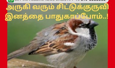 அருகி வரும் சிட்டுக்குருவி இனத்தை பாதுகாப்போம்..!
