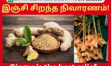 இஞ்சி சிறந்த நிவாரணம்!