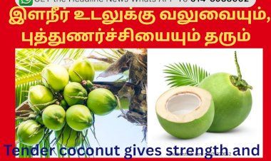 இளநீர் உடலுக்கு வலுவையும், புத்துணர்ச்சியையும் தரும்