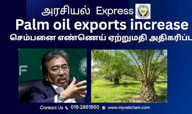 செம்பனை எண்ணெய் ஏற்றுமதி அதிகரிப்பு