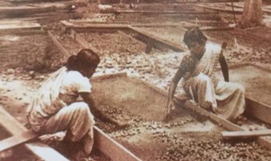 மலேசிய தமிழ் சமூக வரலாறு  / History of the Malaysian Tamil Community