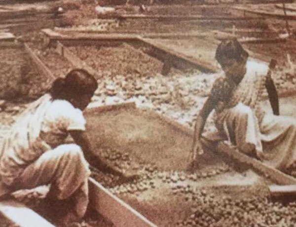 மலேசிய தமிழ் சமூக வரலாறு  / History of the Malaysian Tamil Community