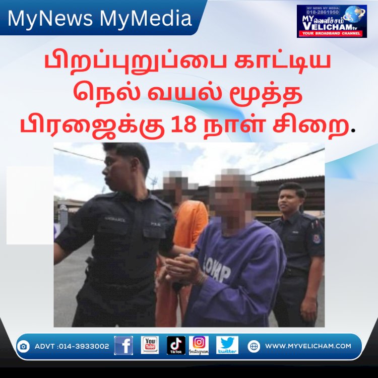பிறப்புறுப்பை காட்டிய நெல் வயல் மூத்த பிரஜைக்கு 18 நாள் சிறை.