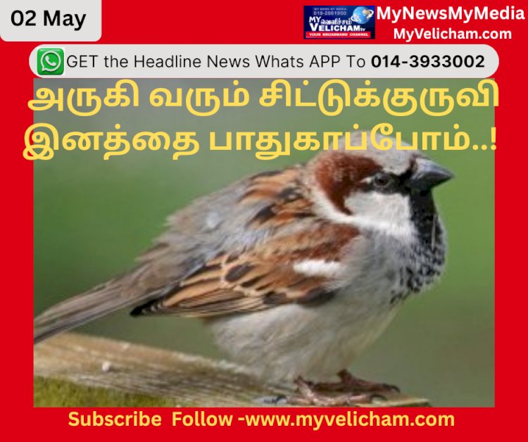 அருகி வரும் சிட்டுக்குருவி இனத்தை பாதுகாப்போம்..!