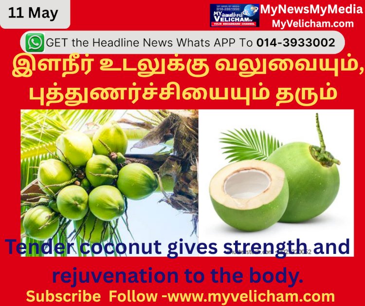 இளநீர் உடலுக்கு வலுவையும், புத்துணர்ச்சியையும் தரும்