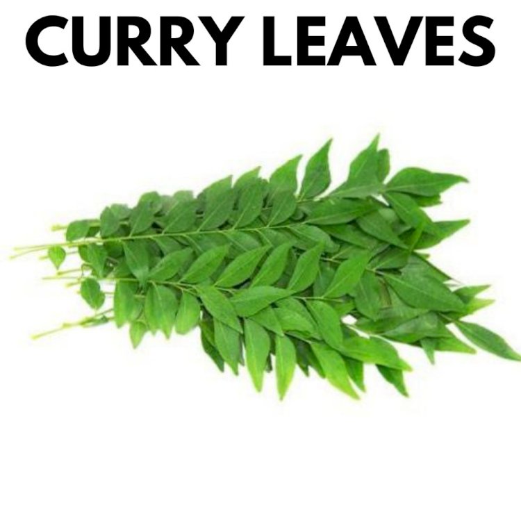 கறிவேப்பிலை பயன்கள் | Karuveppilai Benefits In Tamil