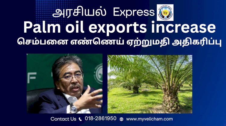 செம்பனை எண்ணெய் ஏற்றுமதி அதிகரிப்பு