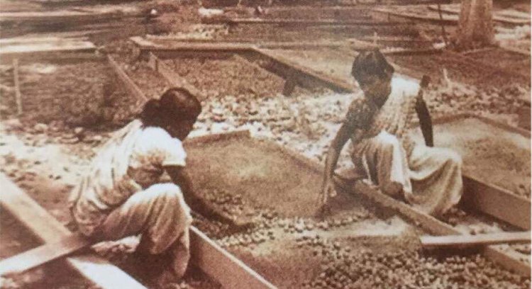 மலேசிய தமிழ் சமூக வரலாறு  / History of the Malaysian Tamil Community